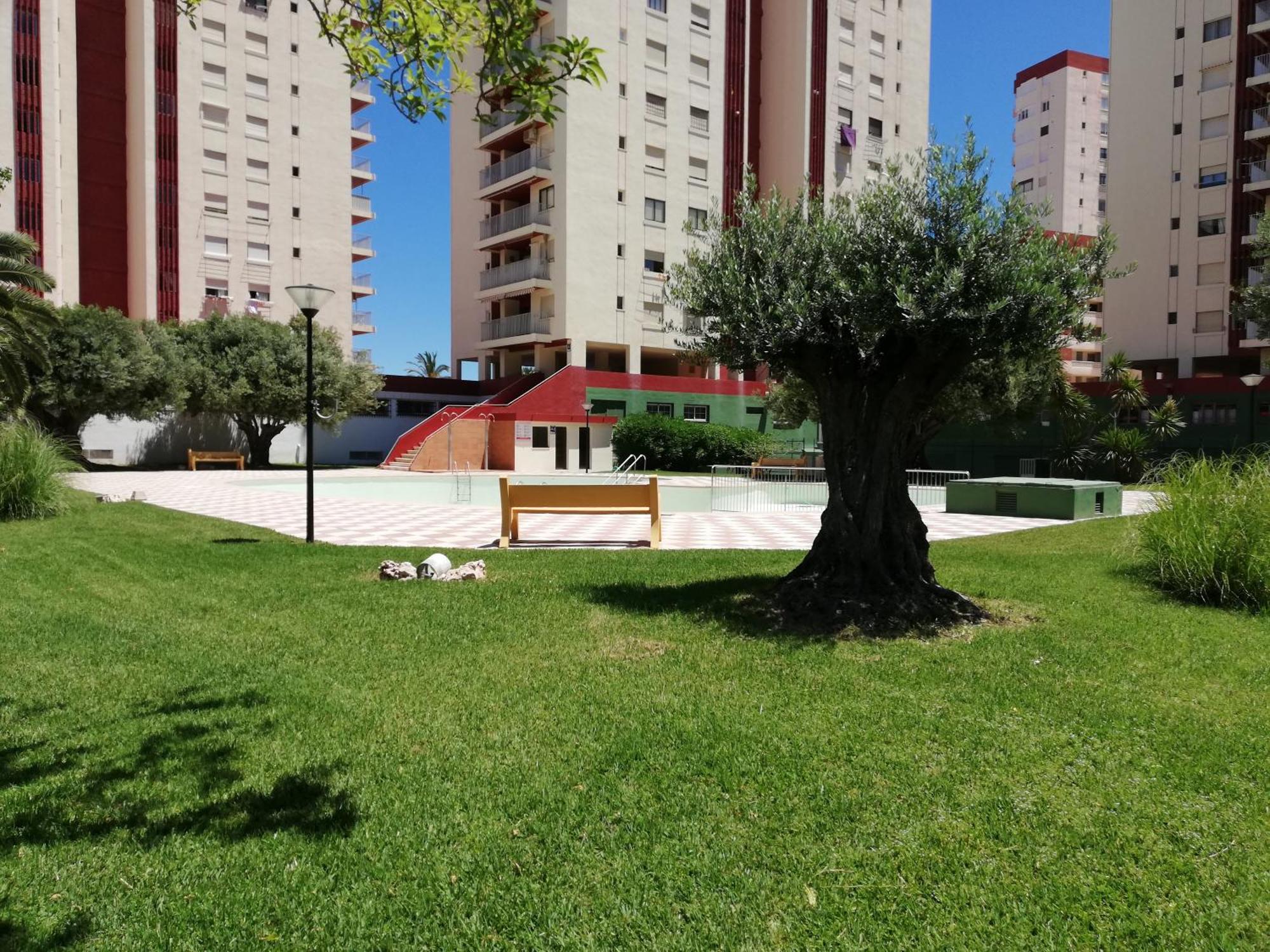Danio Lejlighed Playa de Gandia Eksteriør billede
